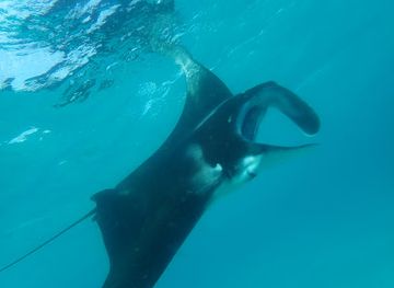 maldives/veligandu-island/attraction/genburu