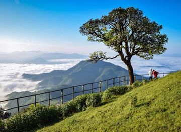 thailand/mae-hong-son/attraction/doi-pui-co