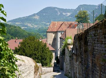 france/franche-comte/attraction/grande-saline-de-salins-les-bains