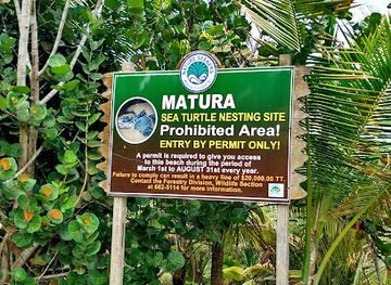 trinidad-and-tobago/couva-tabaquite-talparo/attraction/matura-turtle-watching-site