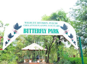 india/kerala-backwaters/attraction/chulanur-peafowl-sanctuary