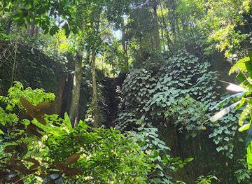 indonesia/pulau-weh/attraction/jharkendar-valley-behind-bat-cave
