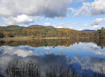 united-kingdom/perthshire/attraction/scottish-wildlife-trust-loch-of-the-lowes-visitor-centre-wildlife-reserve