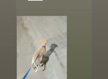 brazil/fortaleza/beira-mar/attraction/beira-de-fortaleza