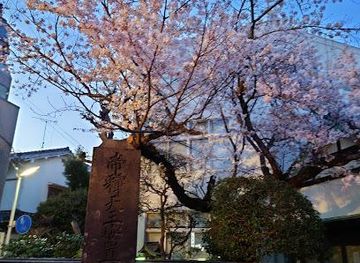 japan/tokyo/attraction/shibamata