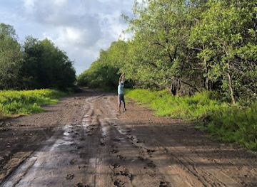 guyana/skeldon/attraction/rose-hall-beach-foreshore