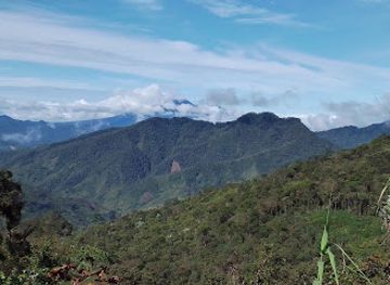 papua-new-guinea/madang-province/attraction/yoya-top