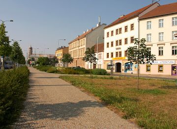 czechia/plzen/attraction/sady-petatricatniku
