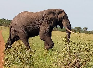 tanzania/mwanza/attraction/samurai-safaris-and-tours