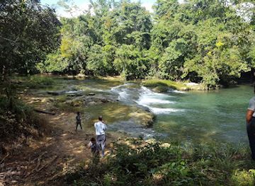 belize/vaca-plateau/attraction/belize-spicefarm-and-botanical-gardens