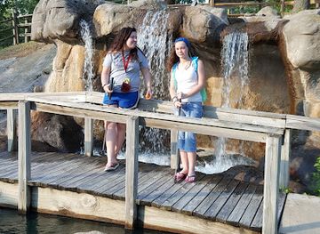 michigan/tawas-point-state-park/attraction/tom-dillon-park