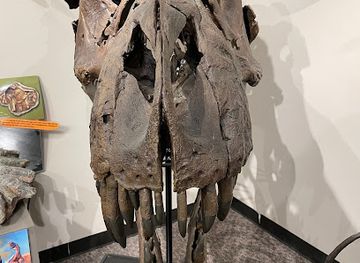 illinois/rock-river-valley/attraction/augustana-s-fryxell-geology-museum