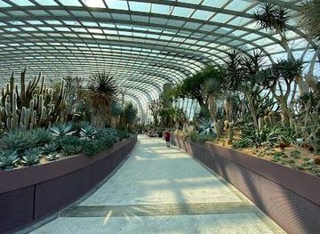 singapore/little-india/attraction/flower-dome