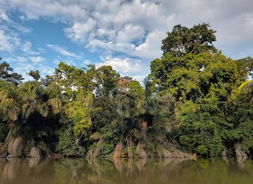 costa-rica/cahuita-national-park/attraction/nature-birding-tours