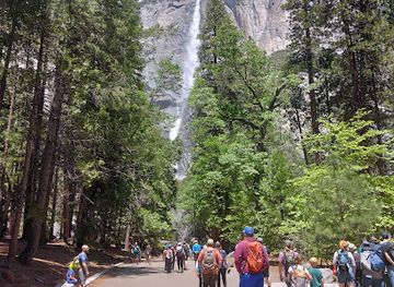 california/yosemite-village/attraction/yosemite-falls-view