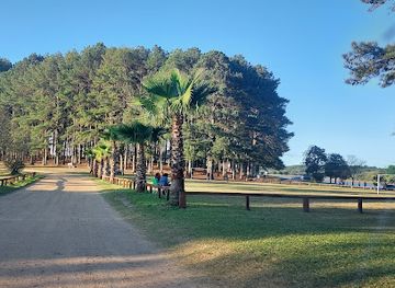 uruguay/salto-grande-dam/attraction/parque-del-lago-municipal