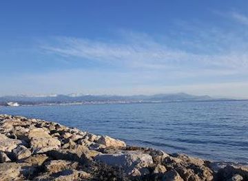 monaco/jardin-exotique-de-monaco/attraction/rte-du-bord-de-mer