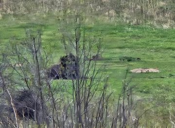 south-dakota/custer/attraction/hayride-chuckwagon-cookout-at-blue-bell-lodge