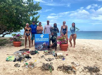 grenada/westerhall/attraction/grenada-artificial-reef-project