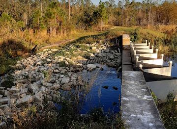 florida/sebring/attraction/sun-n-lake