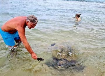 sri-lanka/hikkaduwa/attraction/turtle-beach-hikkaduwa