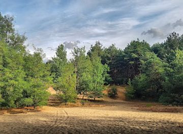 poland/masovia/attraction/pustynia-legionowska