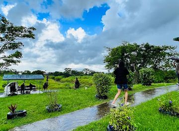 trinidad-and-tobago/siparia/attraction/digity-mud-volcano