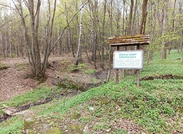 slovakia/presov/attraction/prehradzka