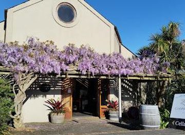 new-zealand/auckland/attraction/coopers-creek-vineyard