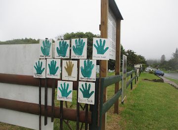 norfolk-island/phillip-island/attraction/hands-up-for-democracy