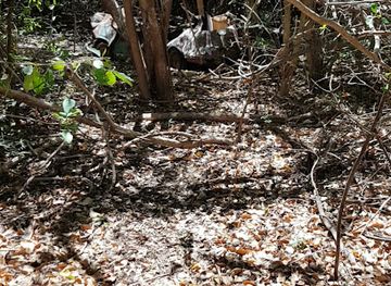 curacao/caracas-bay/attraction/car-museum