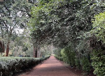 kenya/nairobi/lavington/attraction/singe