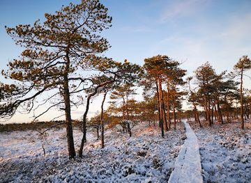 estonia/jarva-county/attraction/vaatsa-nature-reserve-hiking-trail