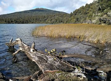 new-zealand/tongariro-national-park/attraction/lake-rotopounamu-track