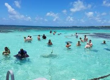 antigua-and-barbuda/st-john-s/attraction/stingray-city-antigua