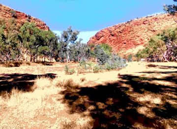 australia/red-centre/attraction/stuart-rotary-park