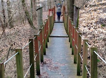 ohio/dundee-falls/attraction/norma-johnson-center-yellow-barn