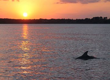 south-carolina/sea-islands/attraction/mermaid-of-hilton-head-boat-tours