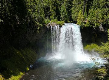 oregon/willamette-valley/attraction/mckenzie-river-trail