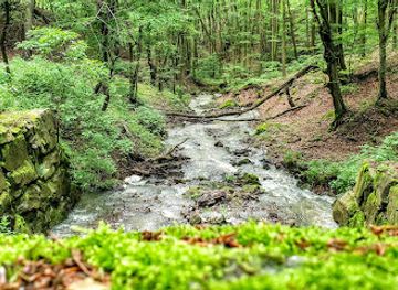 hungary/pilis-mountains/attraction/kiralykuti-ut-domosi-malom-patak-hid