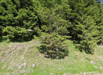 italy/madonna-di-campiglio/attraction/lagodinambinocampiglio