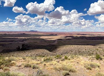 arizona/petrified-forest-national-park/attraction/pintado-point