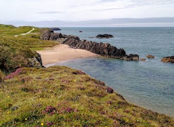 united-kingdom/caernarfonshire/attraction/maes-parcio-ynys-llanddwyn-and-newborough-beach