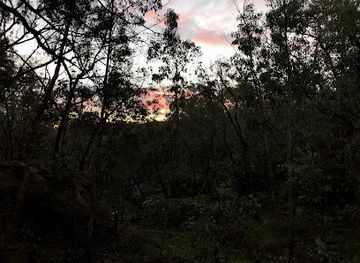 australia/central-victoria/attraction/eureka-reef