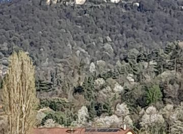 italy/piedmont/attraction/parco-del-meisin