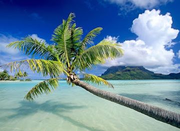 french-polynesia/society-islands/attraction/reef-discovery-bora-bora