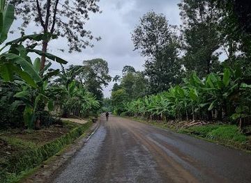 tanzania/moshi/attraction/rau-forest-sustainable-tourism