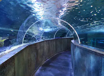 Grand Aquarium de Touraine