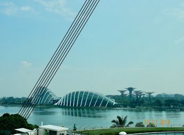 singapore/kallang/attraction/flight-experience-singapore-boeing-737-simulator