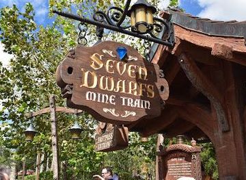 florida/orlando/attraction/seven-dwarfs-mine-train